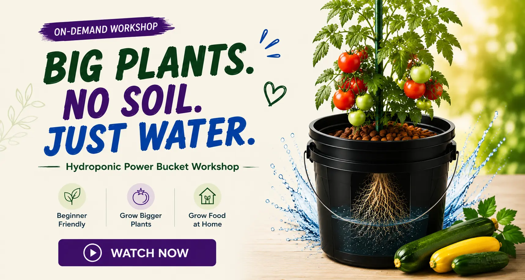 Hydroponics1