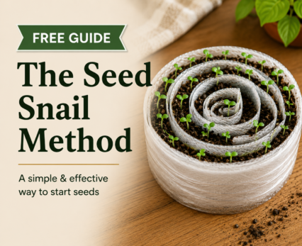 Seed Snail Method