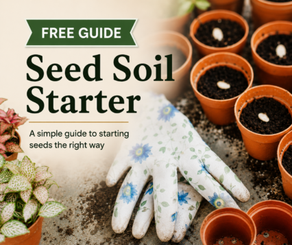 Seed Soil Starter Guide