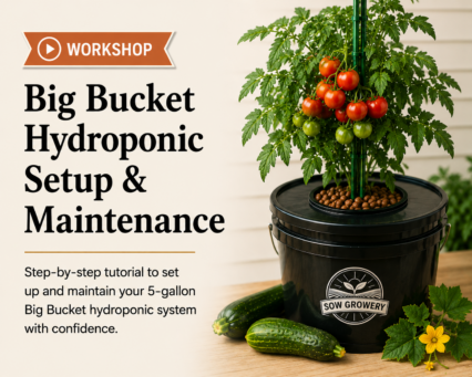 Big Bucket Hydroponics Workshop