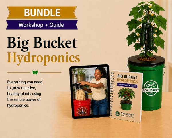 Beginner Bundle: Workshop + Premium Guide