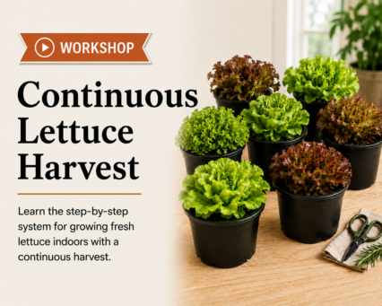 Continuous Lettuce Harvest Workshop