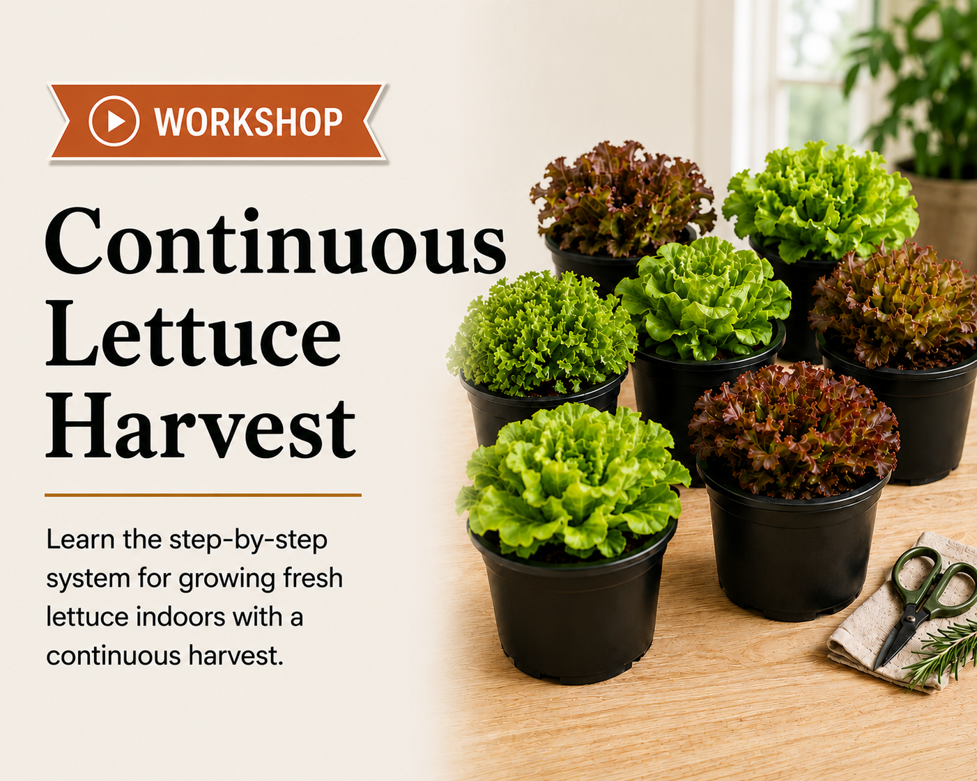 Continuous Lettuce Harvest Workshop